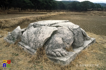 경주 신라 성덕왕릉 귀부 정측면
