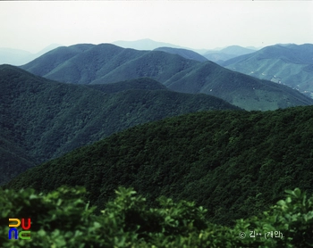 내연산