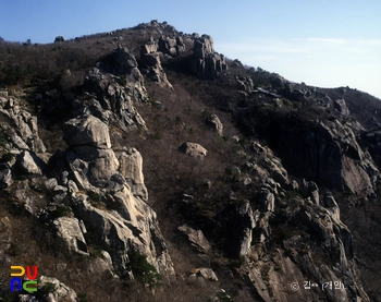 섹시 슬롯 머신 금산