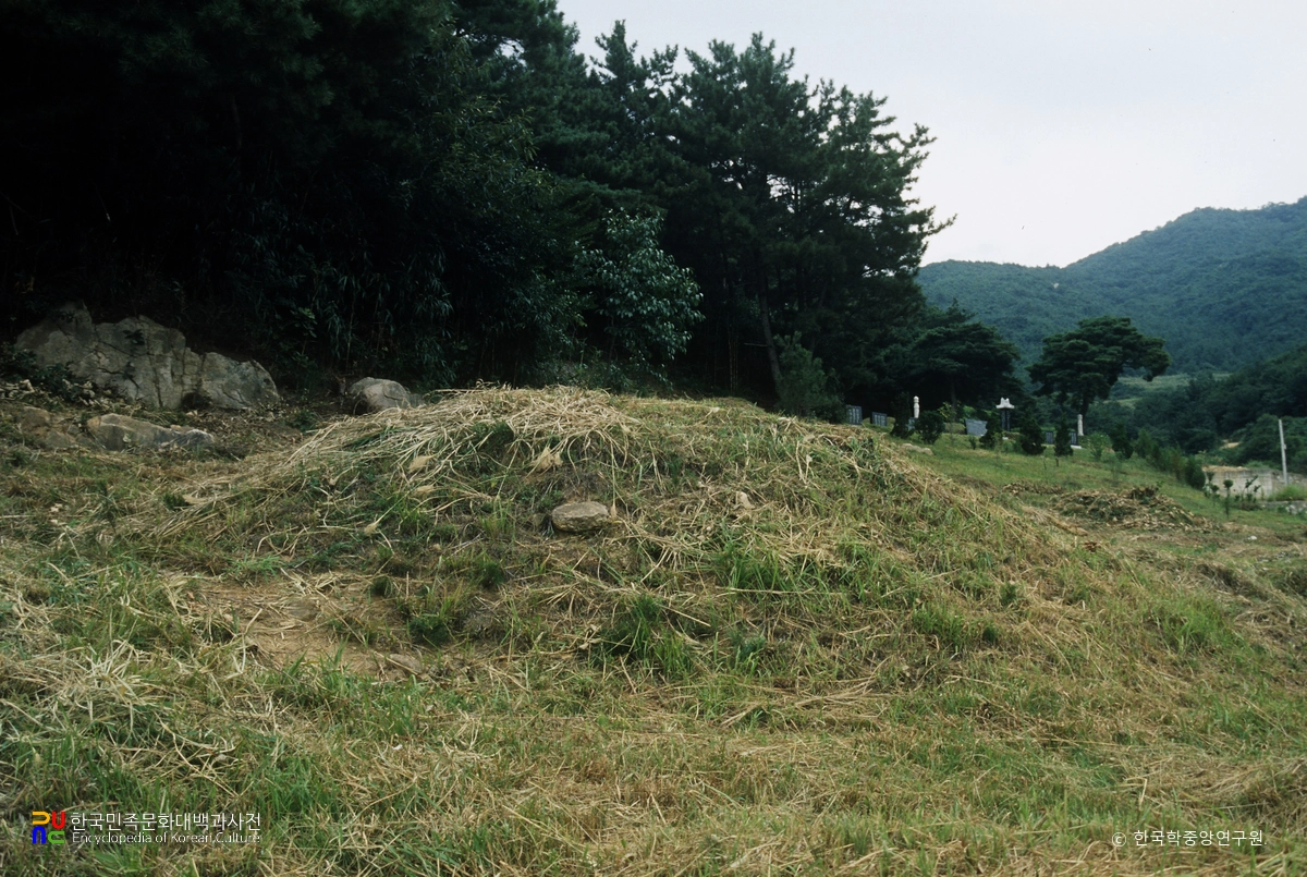 양산 북정동 금조총
