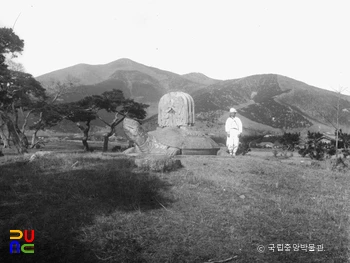 경주 신라 태종무열왕릉비 전경