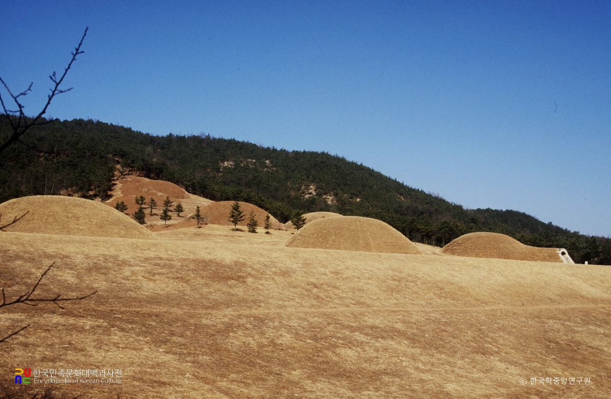 부여 능산리 고분군 전경