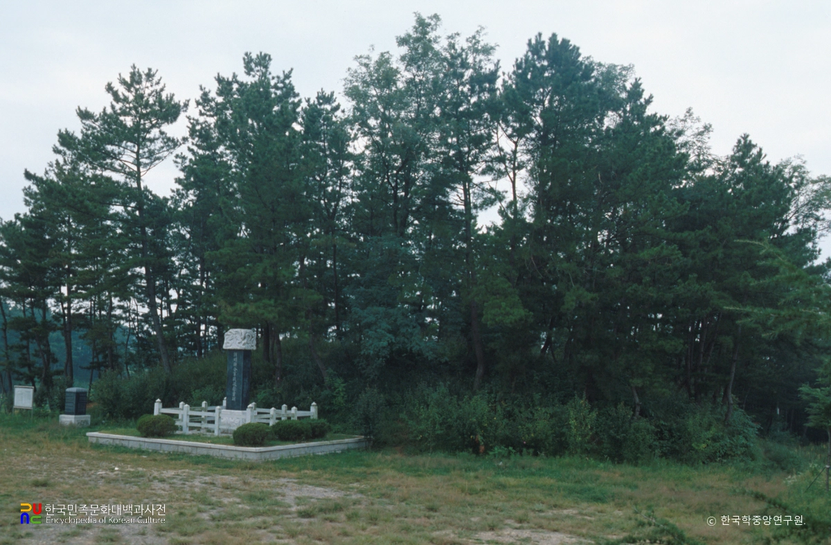 사천 선진리 고분