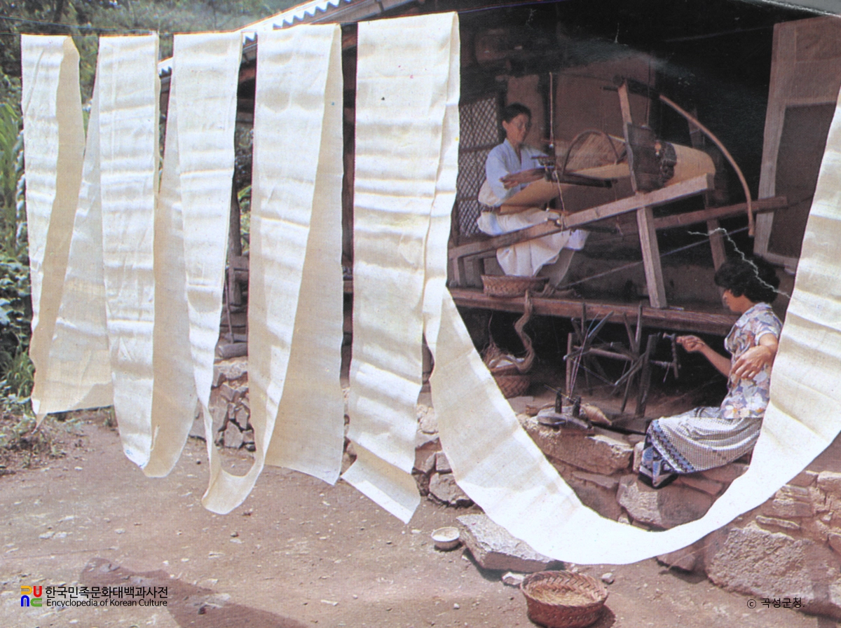 곡성의 돌실나이