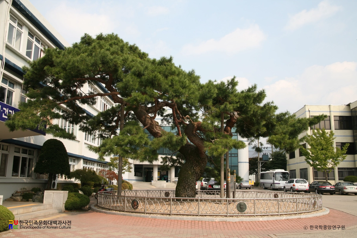 장수 장수리 의암송