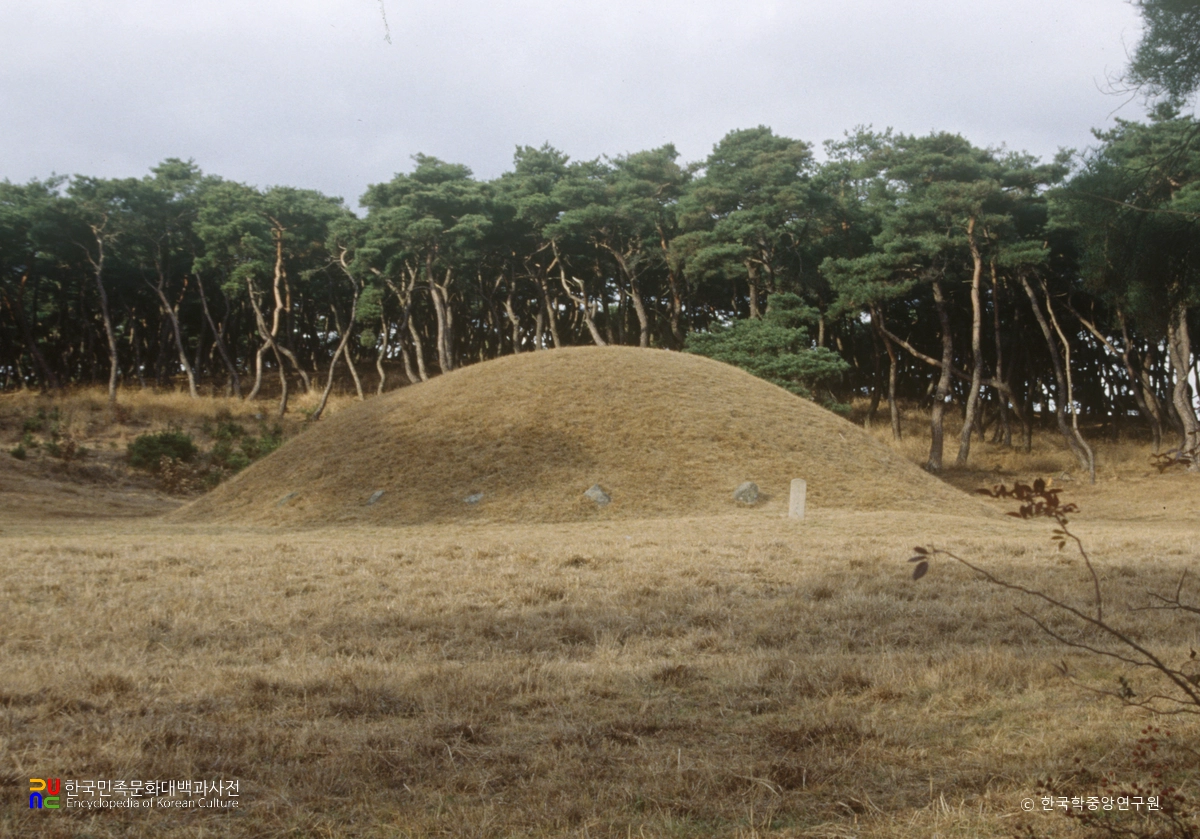 경주 신라 효공왕릉 정면