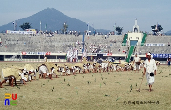 양양 입암해외 슬롯 사이트