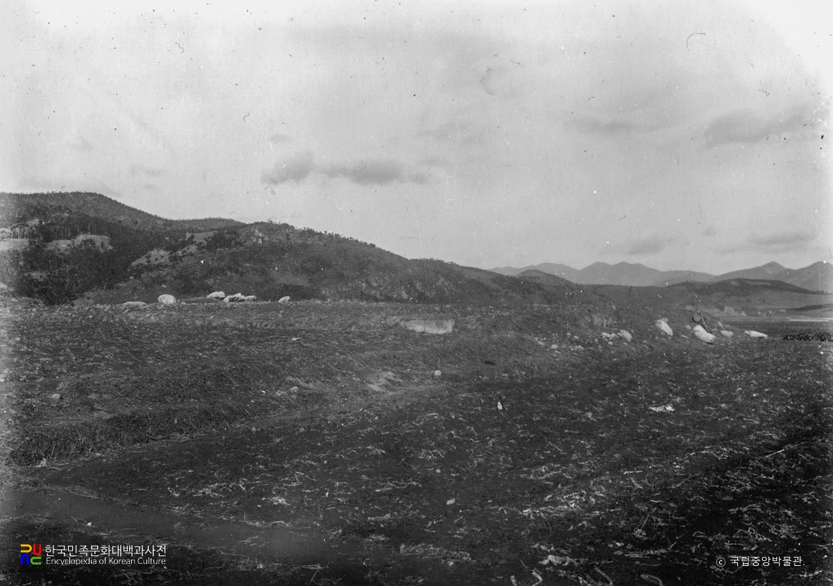 경주 동천동 사지 전경