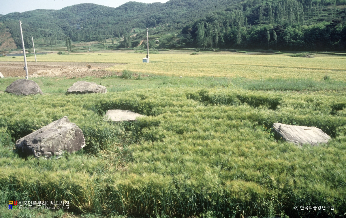 남전리 지석묘군