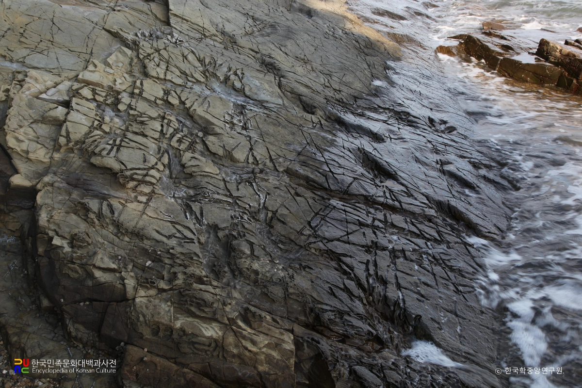 남해 가인리 화석산지