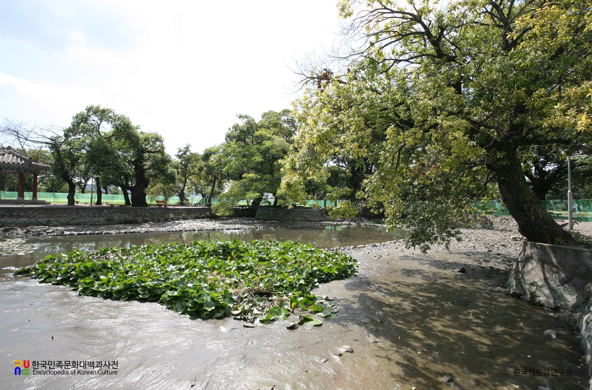 광양읍수와 이팝나무