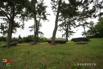 고흥 중산리 지석묘군 전경