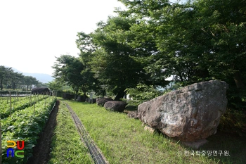 화순 벽송리 지석묘군