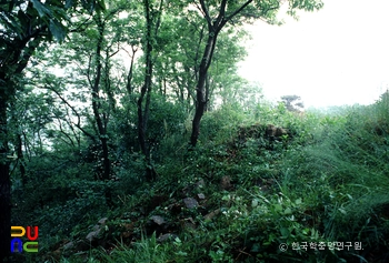 서천 남산성 성벽