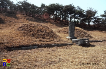 파주 이세화 선생 묘 측면