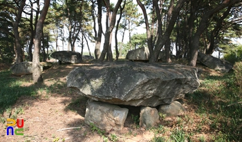 함평 용월리 지석묘군