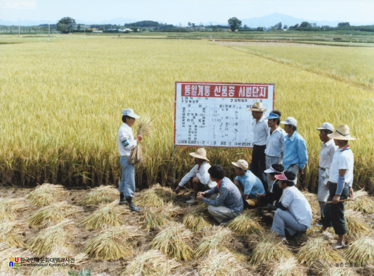 농촌지도사업 / 시범단지 지도