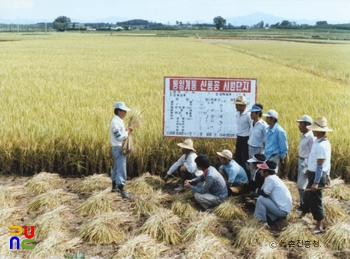 농촌지도사업 / 시범단지 지도