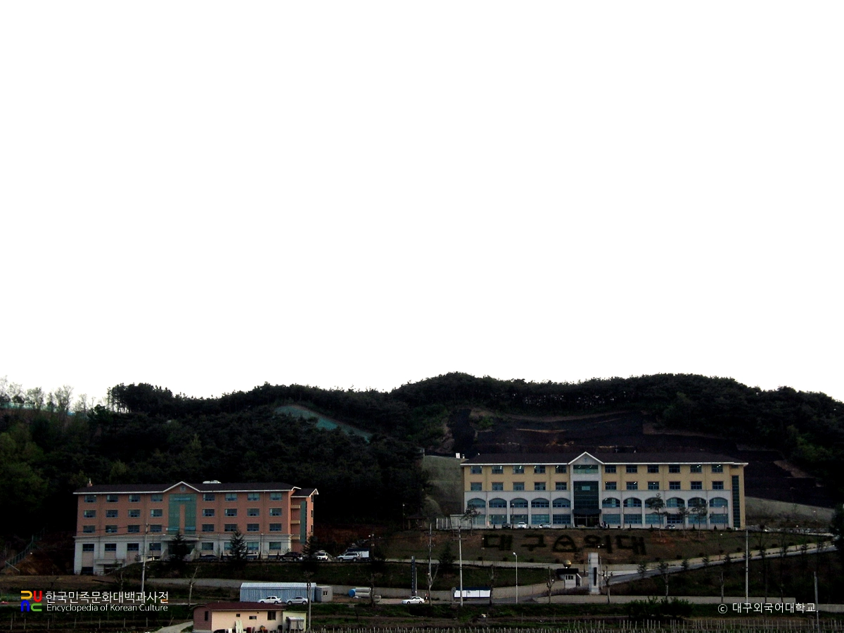 대구외국어대학교