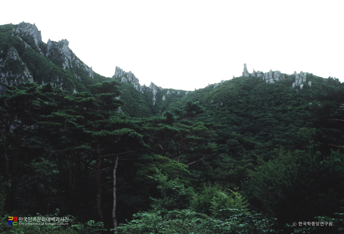 한라산 천연보호구역 영실오백나한