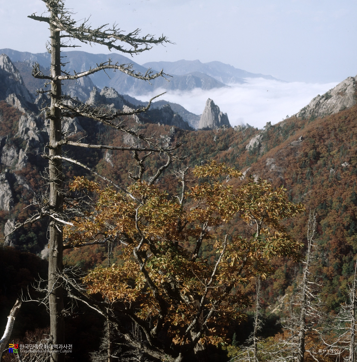 설악산 천연보호구역 소청봉