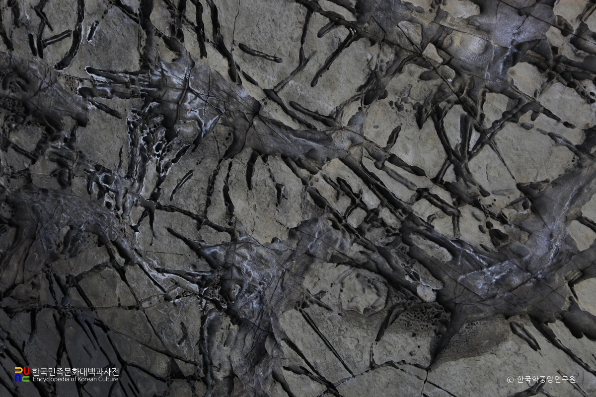 남해 가인리 화석산지