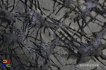 남해 가인리 무료 슬롯 카지노