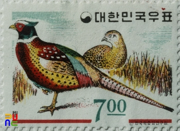 특별우표(1966년)