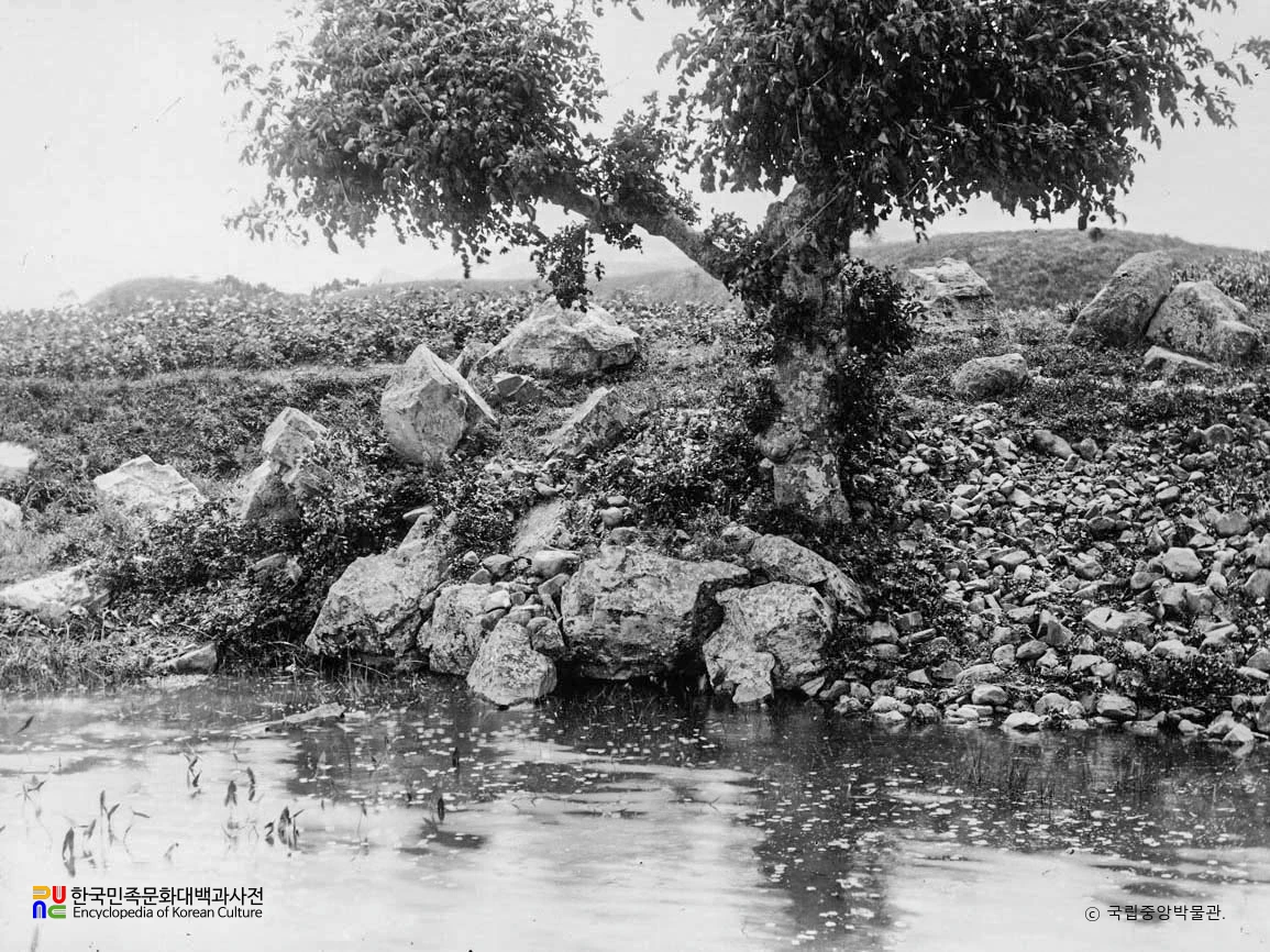 경주 동궁과 월지 중 월지 주변 나무
