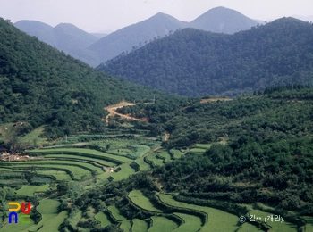 연화산 도립공원