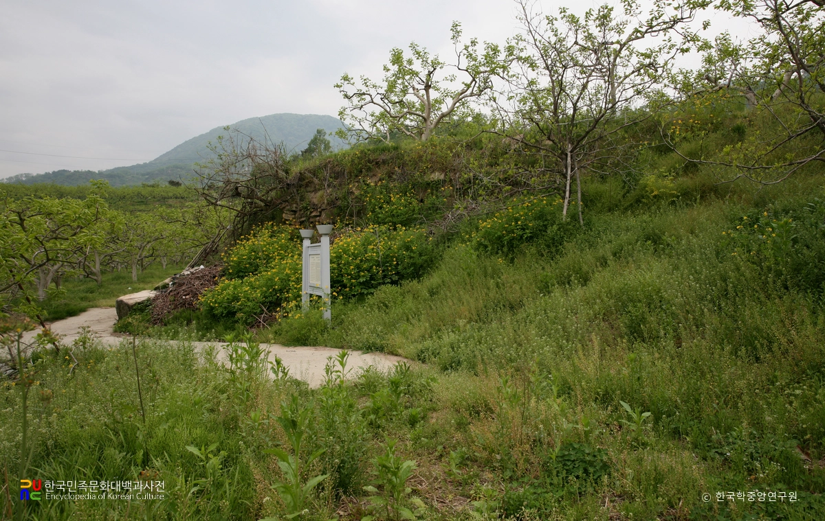 최윤덕 장군 생가지