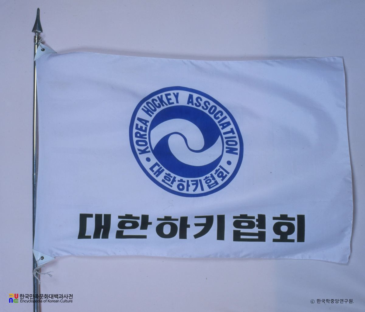 대한하키협회 기