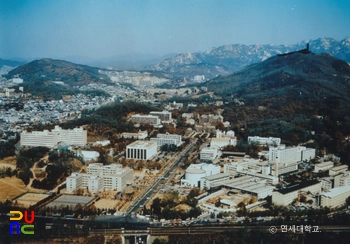 연세대학교