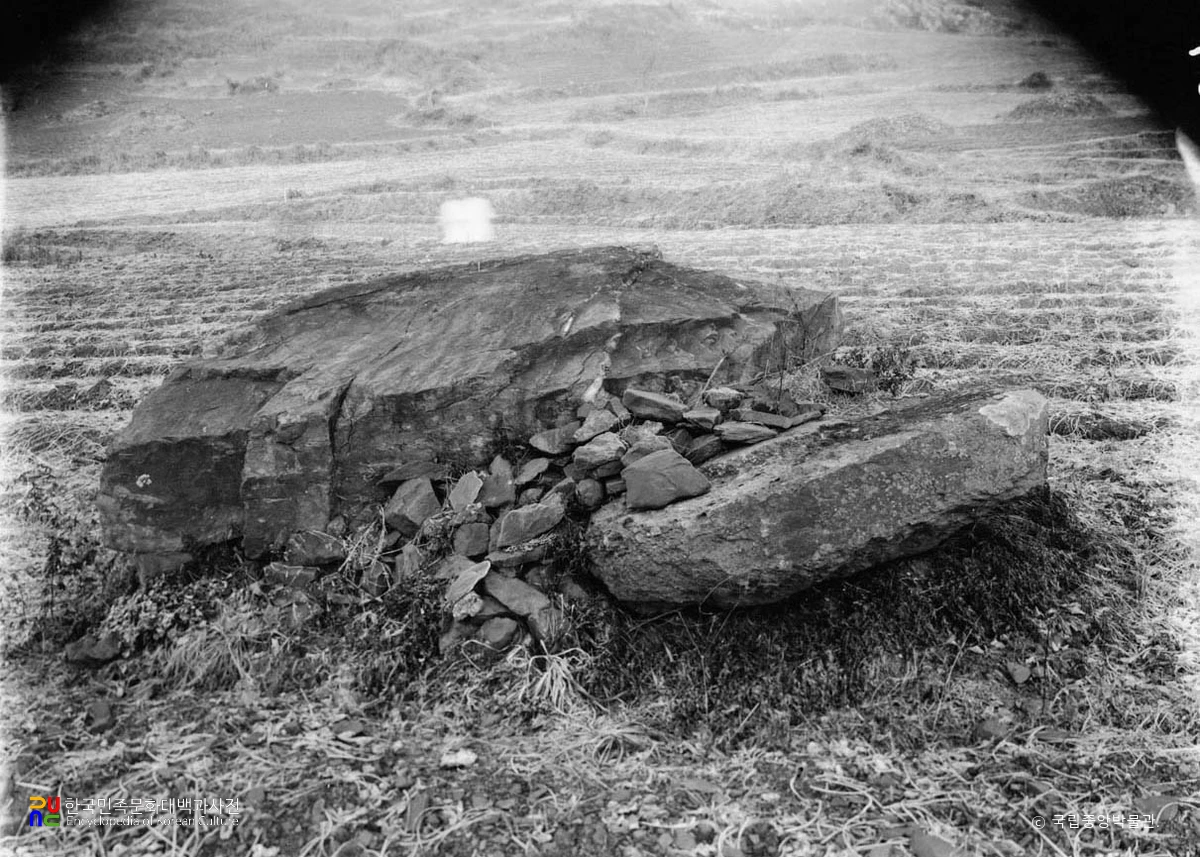 이천 안협읍외 지석묘