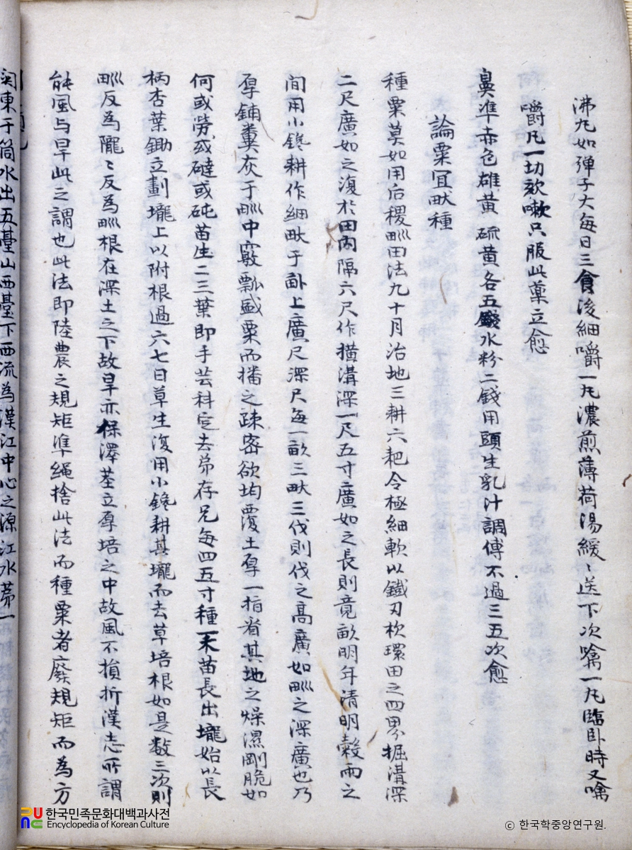 견종법