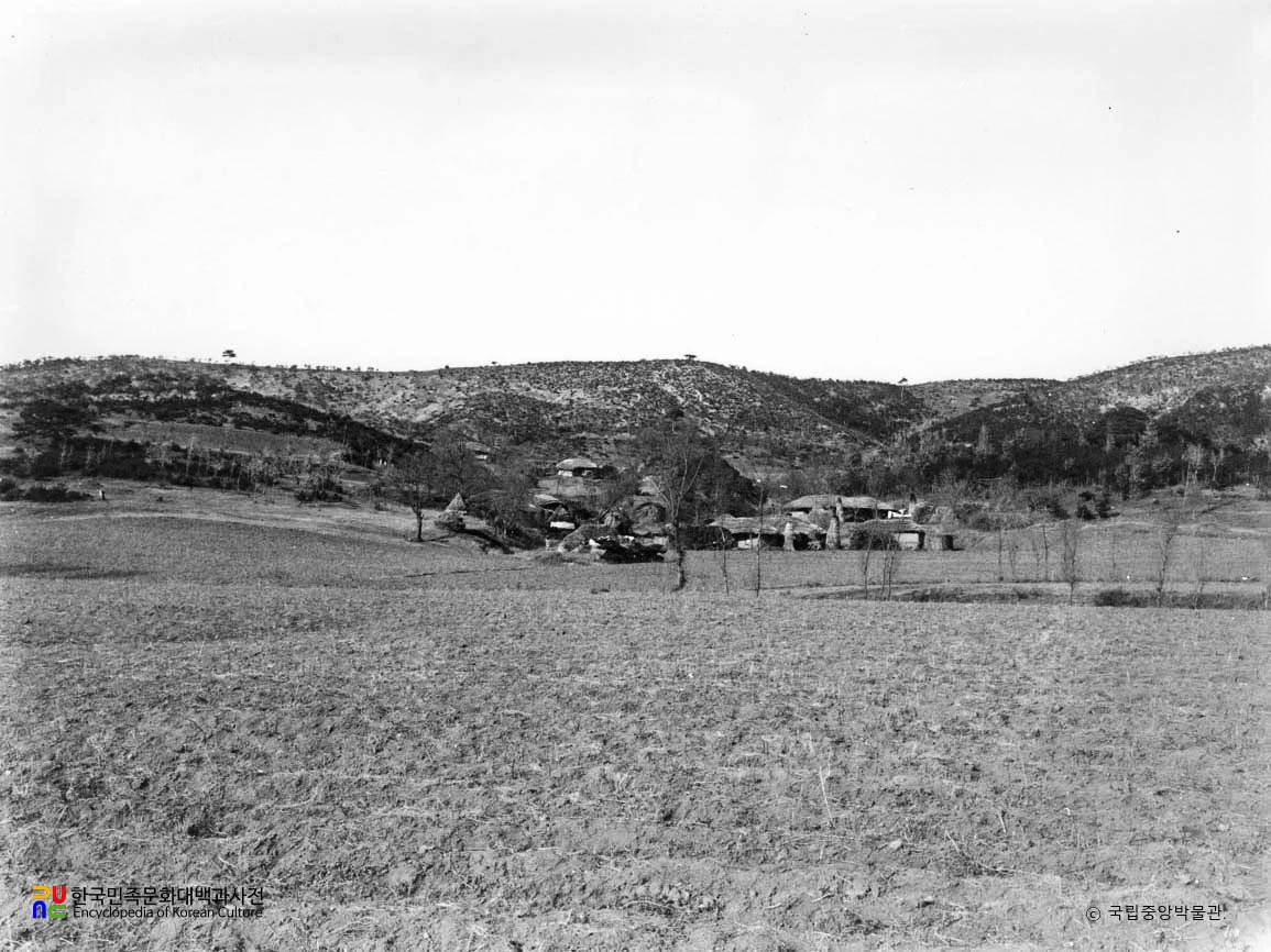 황해 은율 운산리 산 위 지석묘와 석기 산포지