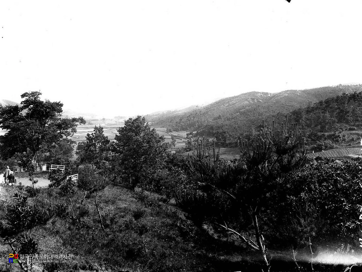 고양 벽제관 남쪽 주변 일대 전경