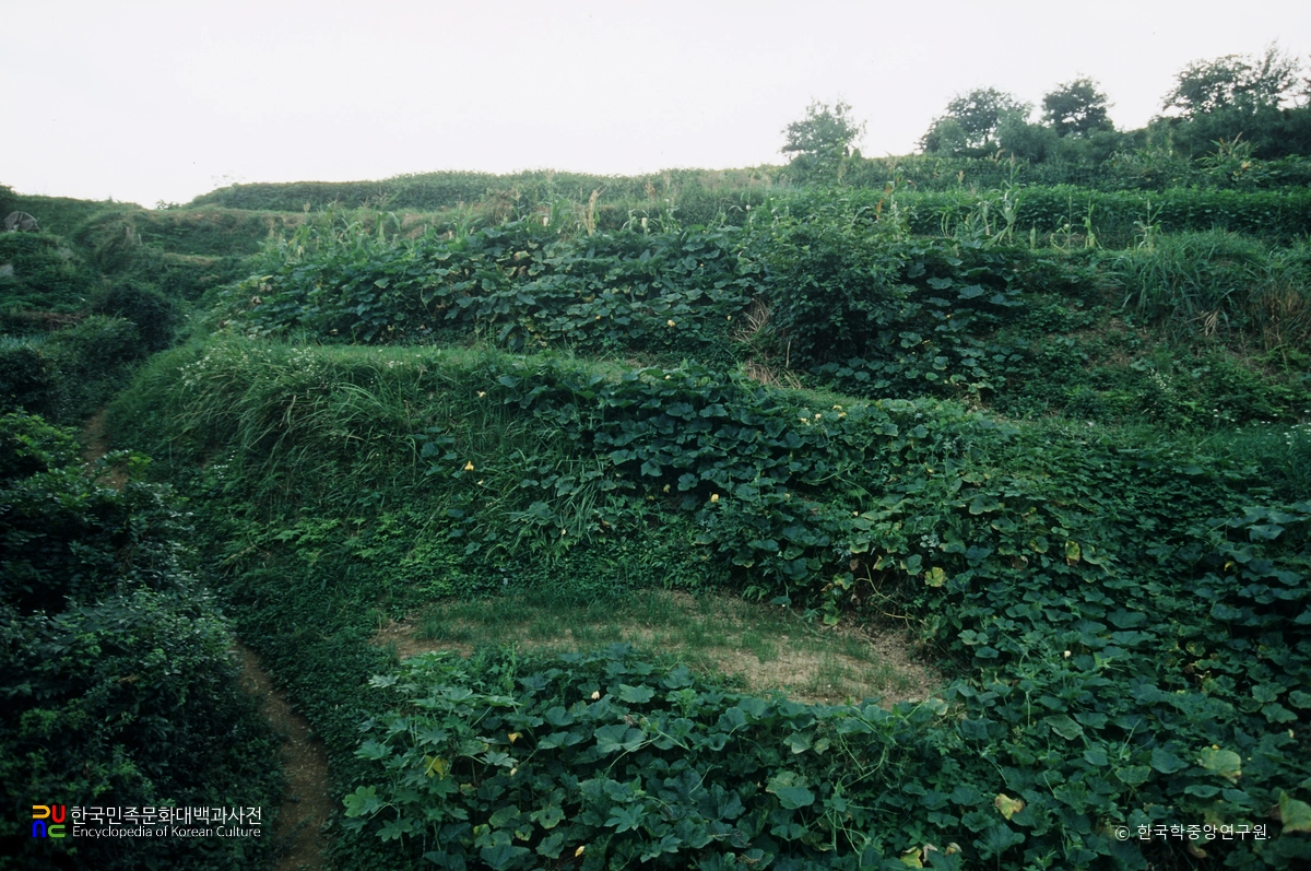 양산 남부동 조개더미