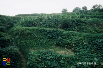 양산 남부동 조개더미