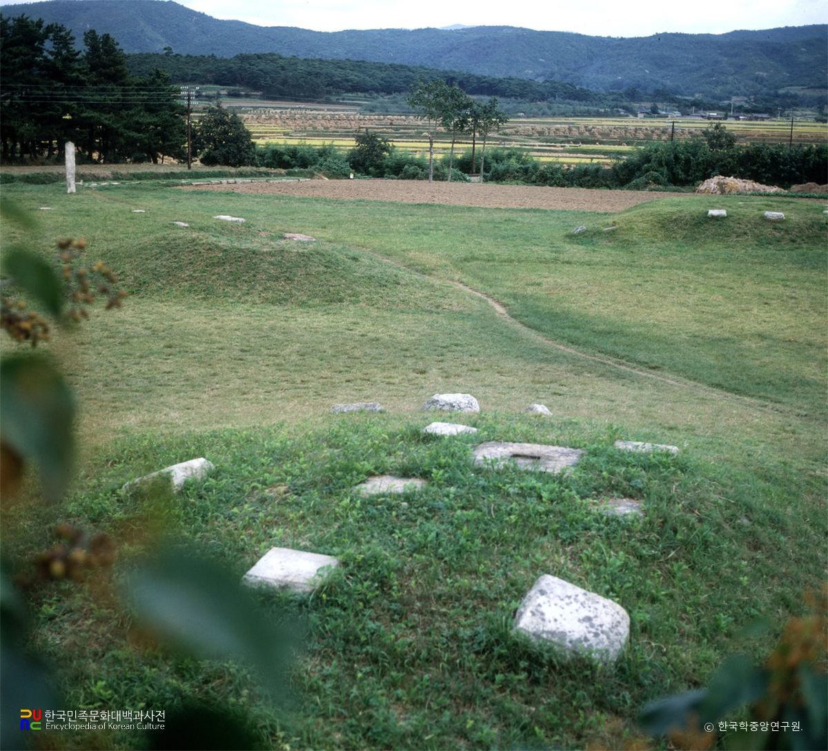 경주 사천왕사지