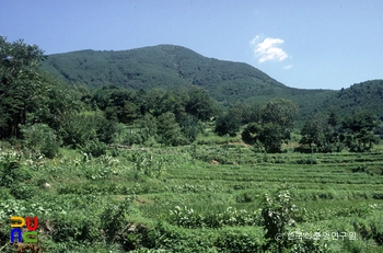 백운산