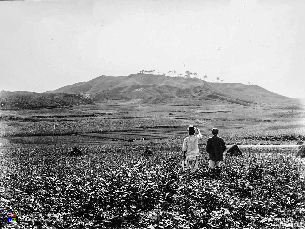 정평 고장성 전경