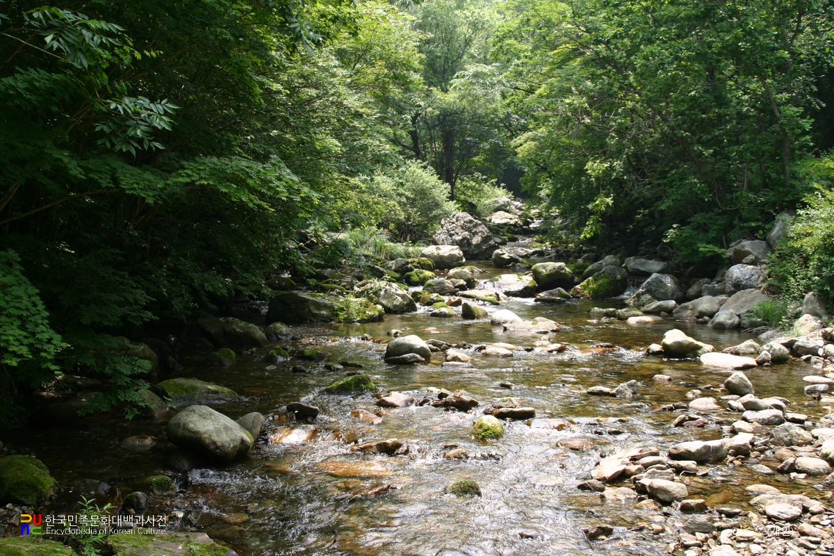 봉화 대현리 열목어 서식지