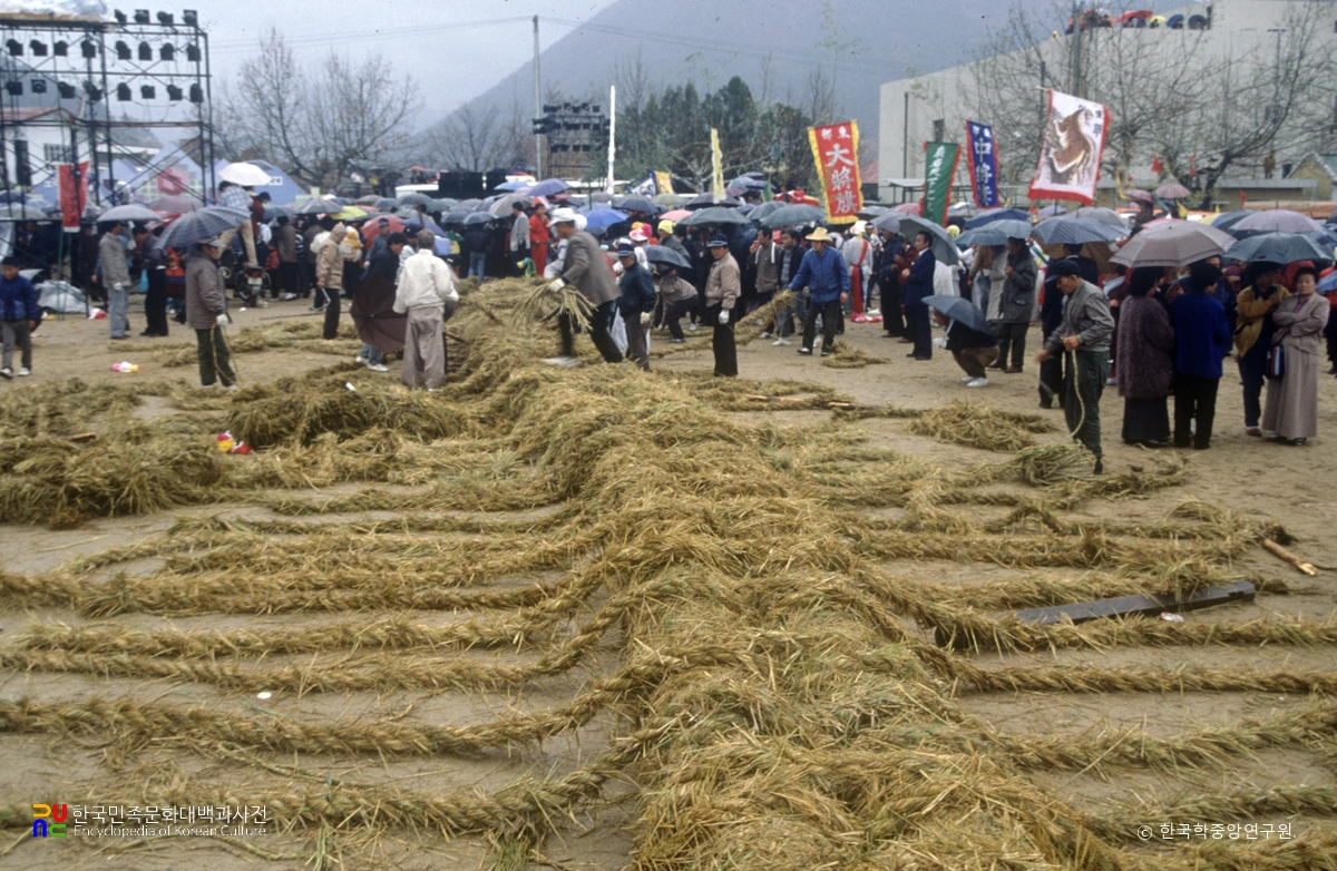 영산 줄다리기 / 벗줄매기