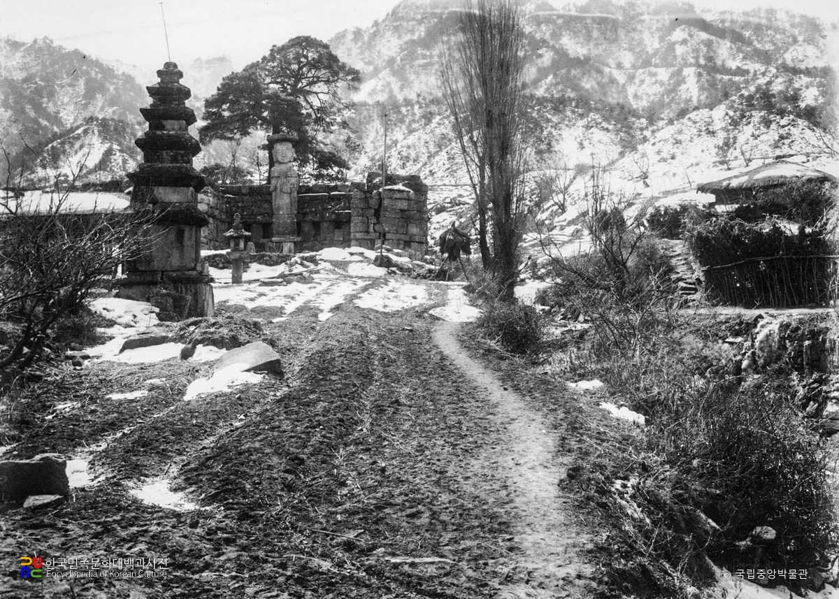 충주 미륵리 석불입상, 오층석탑 원경