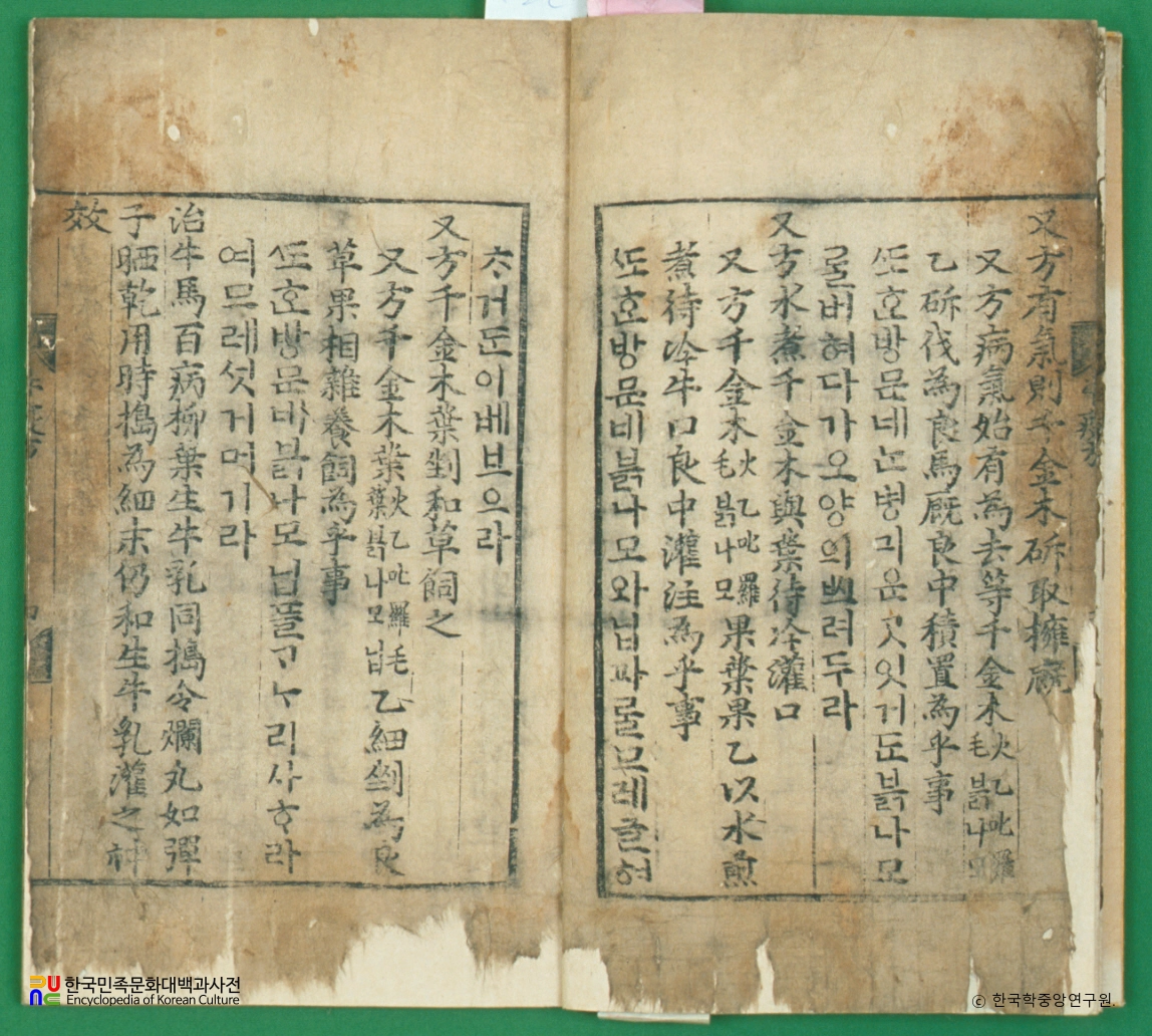 우마양저염역병치료방