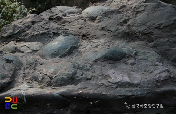 보성 비봉리 공룡알화석 산지