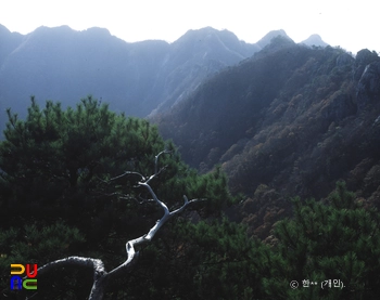 계룡산 능선
