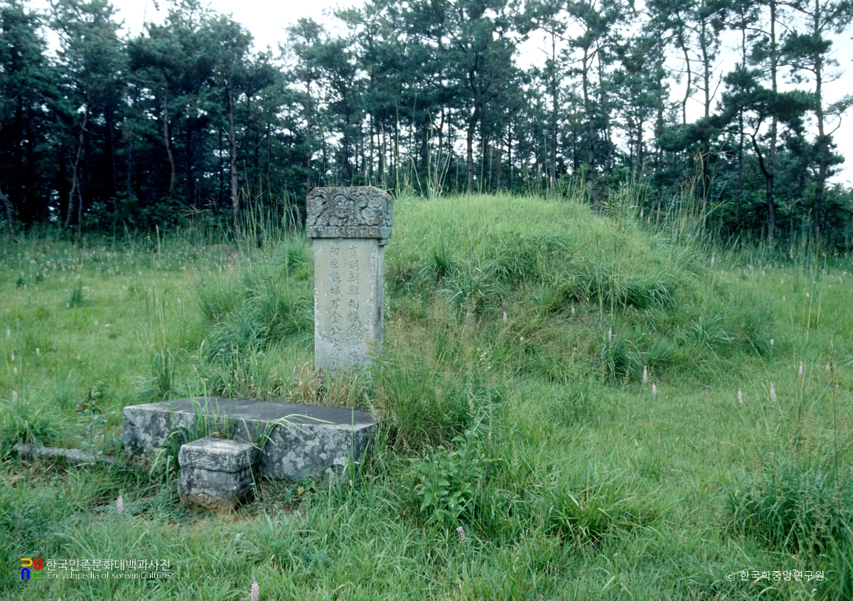 영암 김완 장군 묘소 정측면