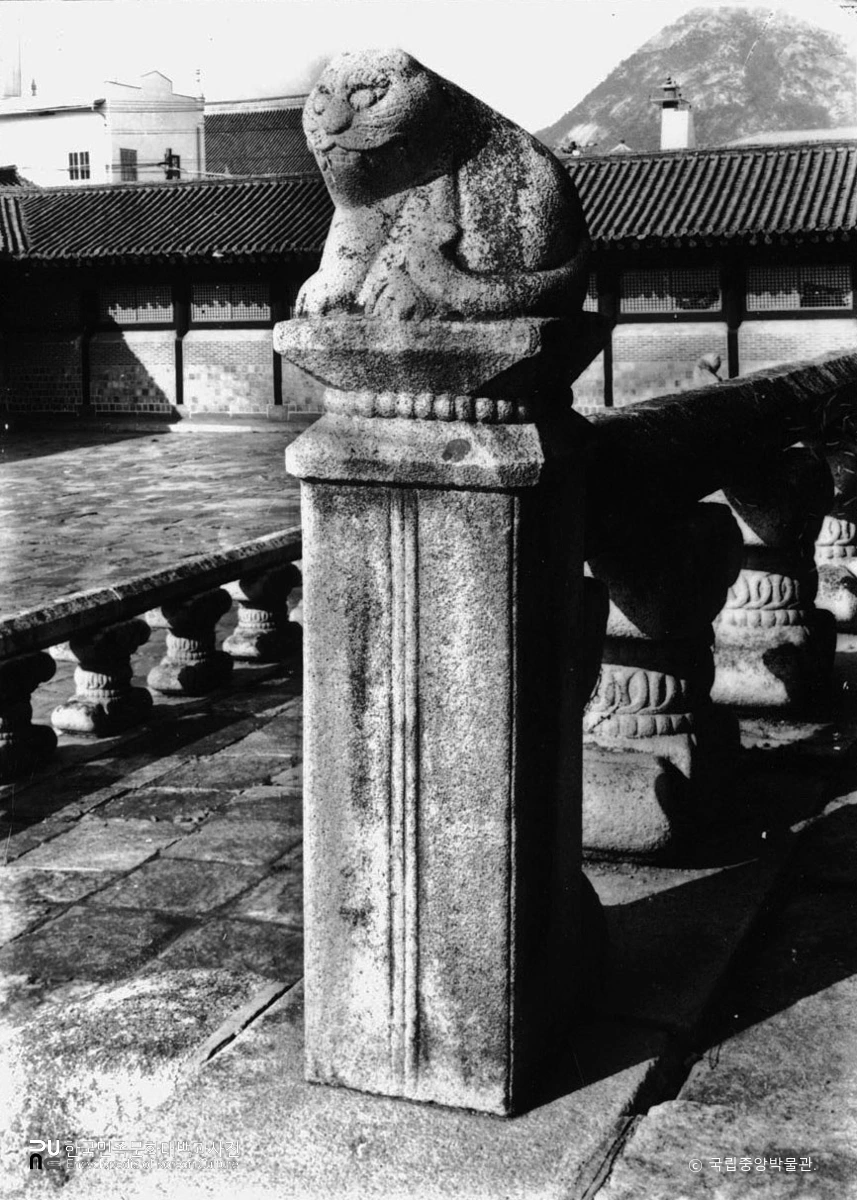 서울 경복궁 근정전 월대 사신상 중 백호상